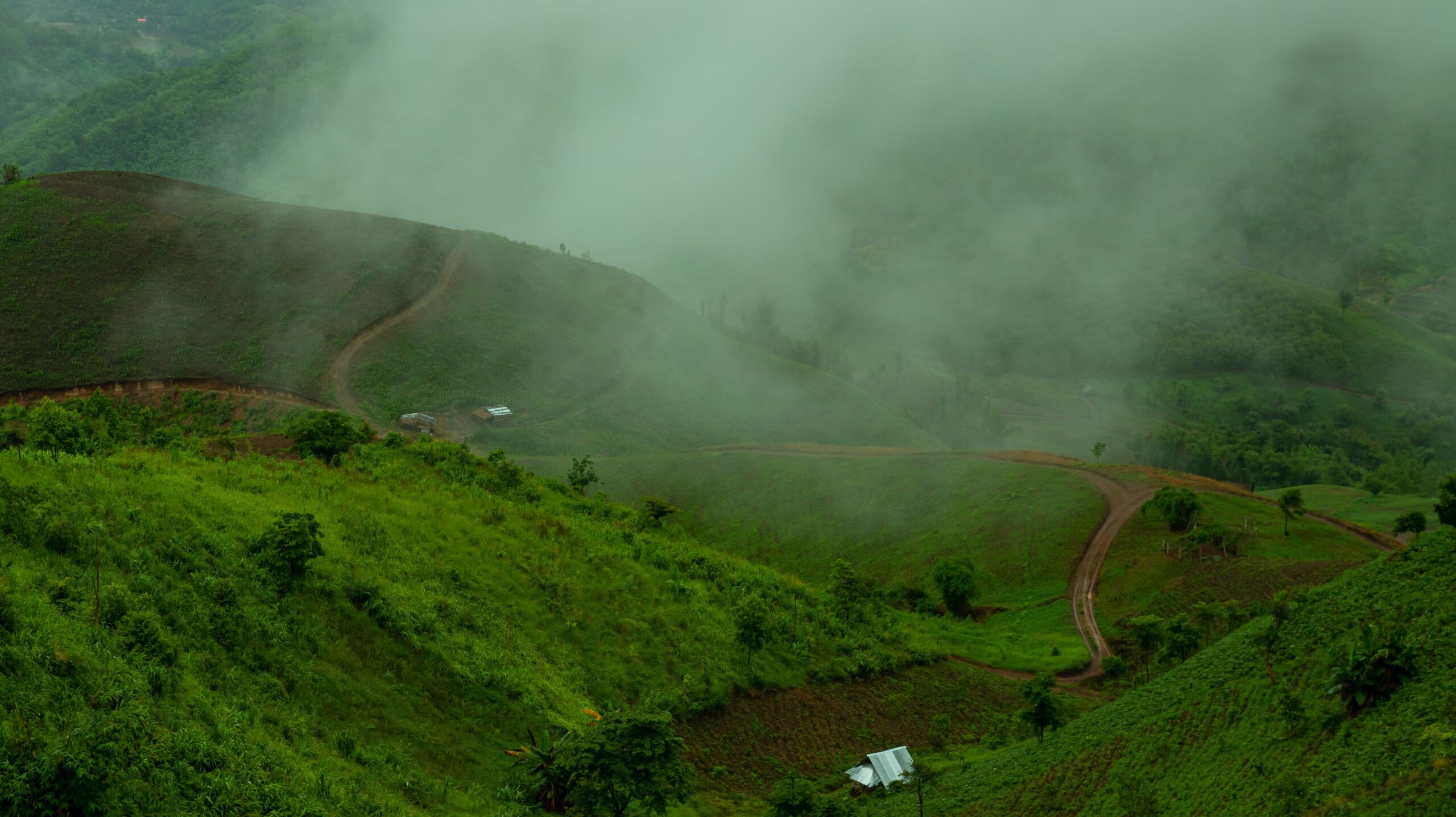 Hillock Discover Ananthagiri Hills Nature's Oasis in Telangana